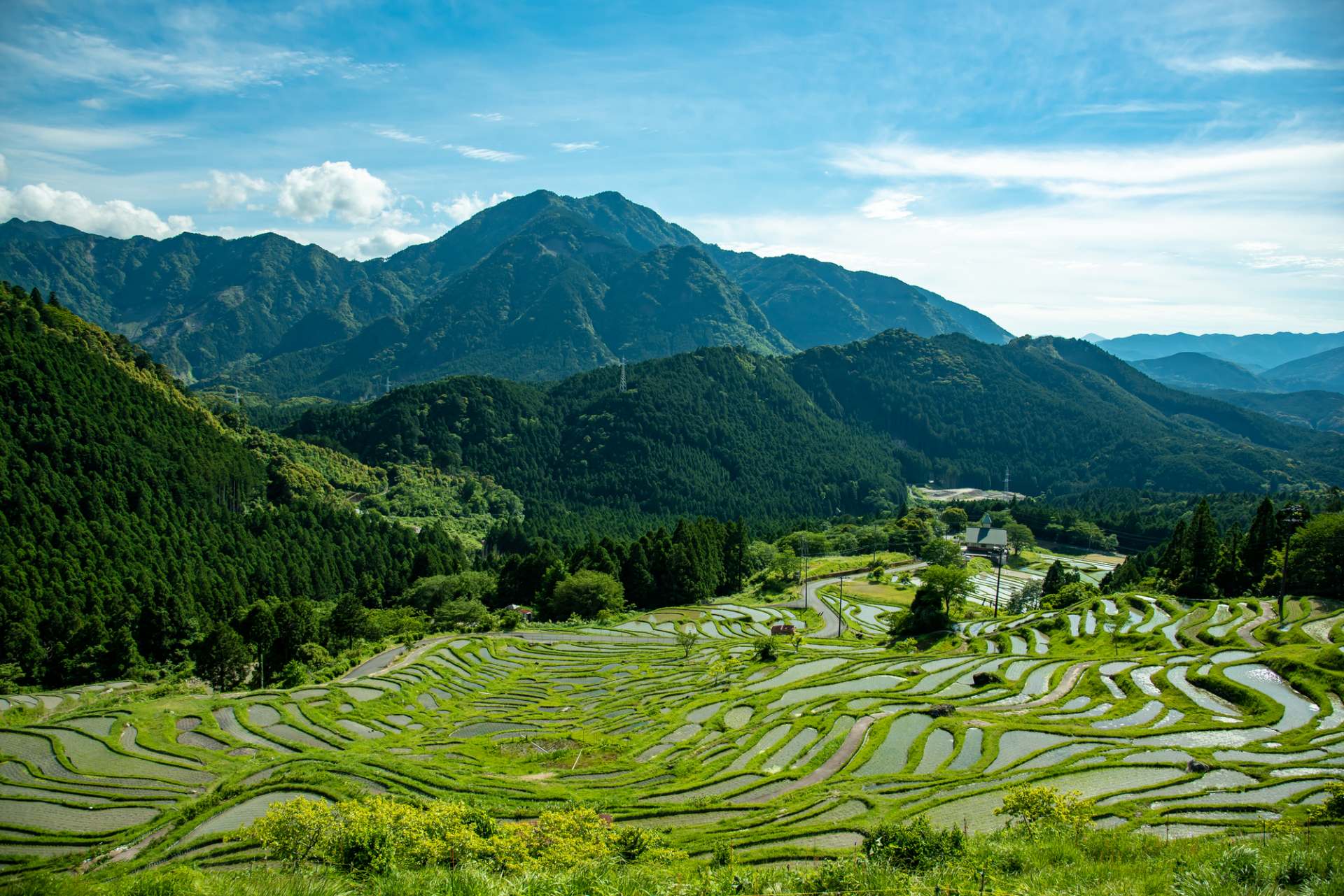 昔ながらの手作業で守られている丸山千枚田