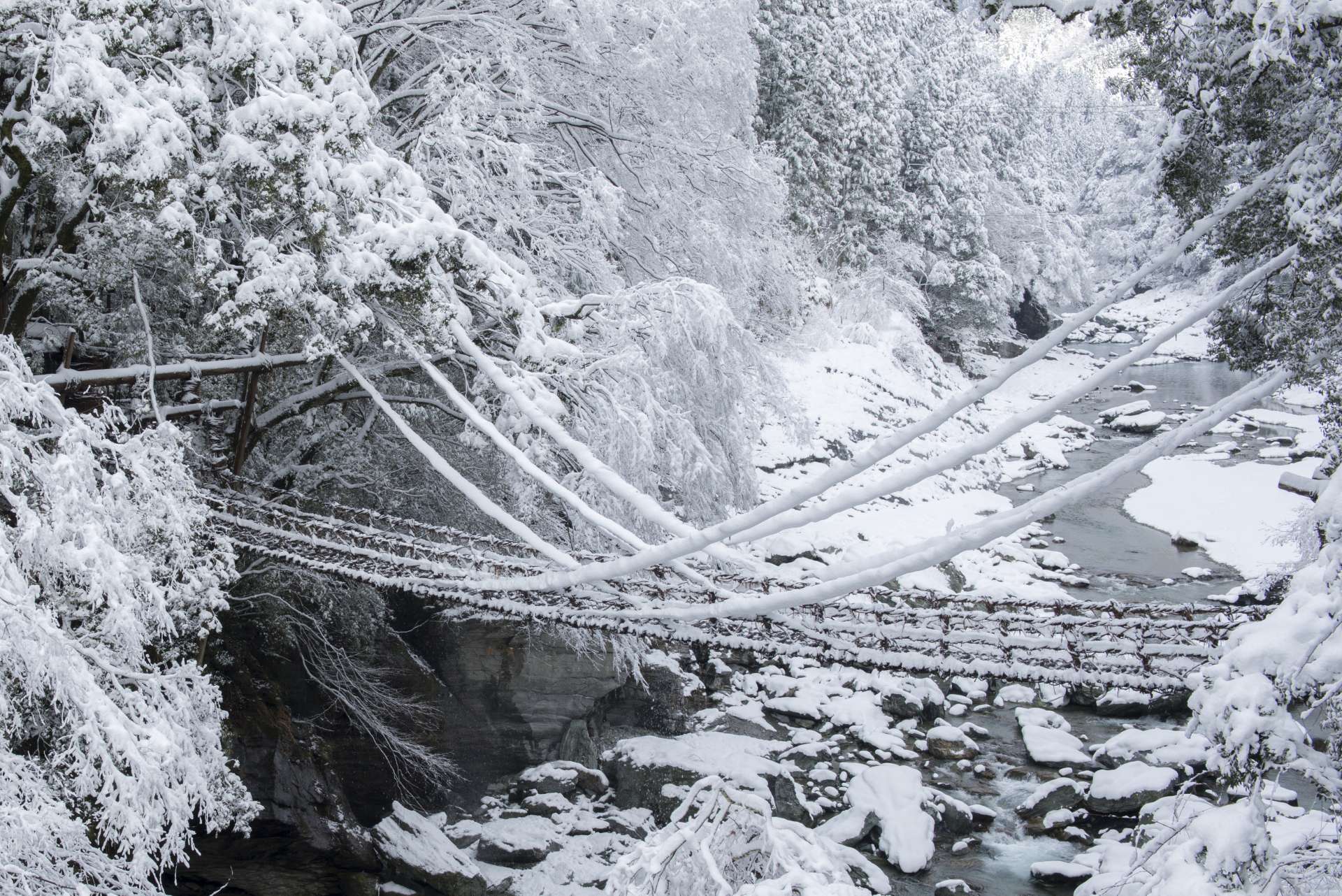 真冬は雪が積もり、辺り一面が真っ白に染まることも。