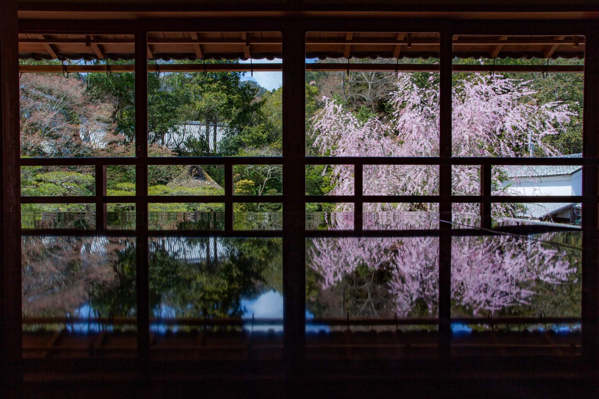 春は桜、夏は深緑、秋は紅葉、冬は雪景色。四季折々の景色を窓枠越しに愛でて。