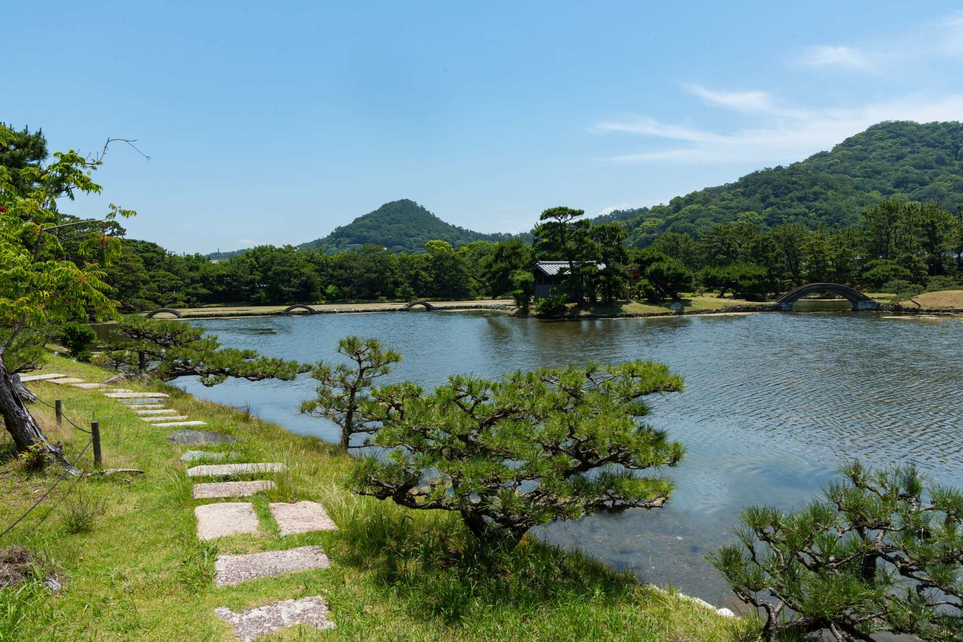 海水を取り入れた池のため、イナ（ボラの若魚）やハゼなど海と川の境に棲む生物を見ることも