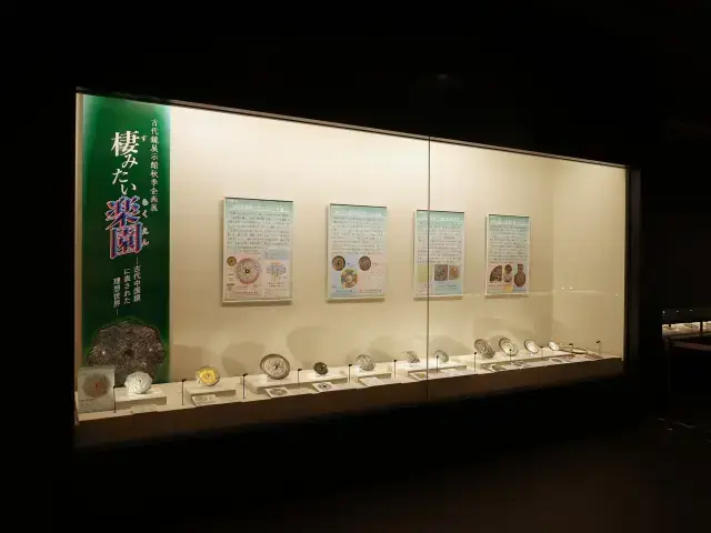 第１展示室　「企画展示コーナー」